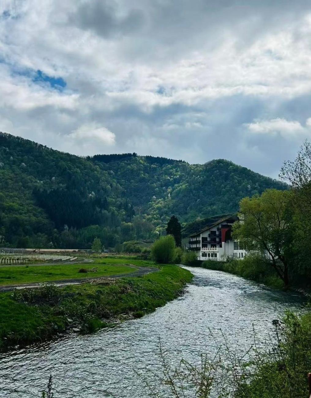May Hotel Mayschoß Εξωτερικό φωτογραφία